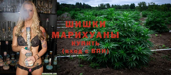 mdpv Богородск