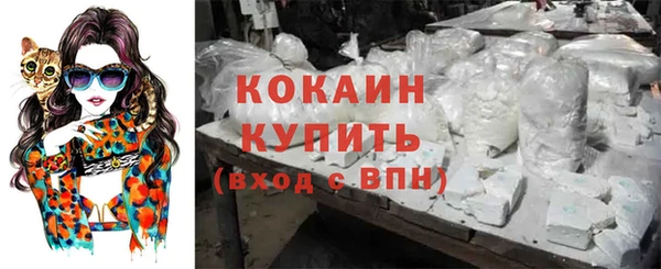 дурь Богородицк