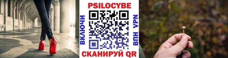 Галлюциногенные грибы Psilocybe  Муравленко 